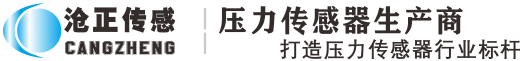 博悅佳軟瓷_柔性飾面磚_mcm軟瓷廠家